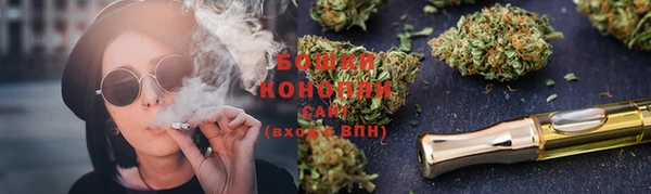 трава Няндома