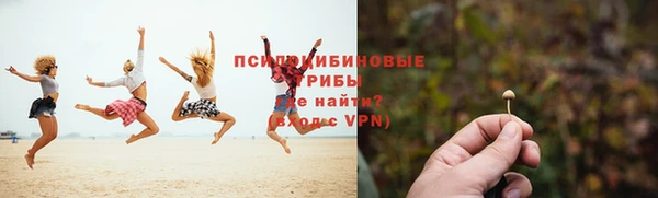 первитин Новодвинск