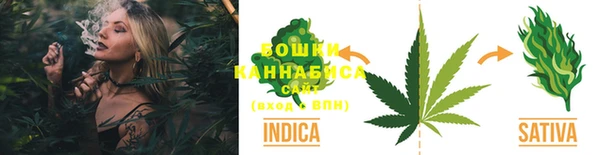 трава Няндома