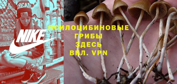 первитин Новодвинск