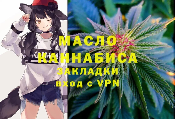 первитин Новодвинск