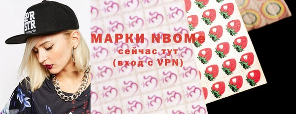 трава Няндома
