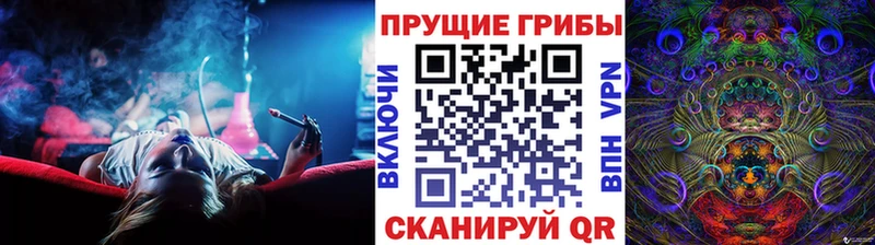Псилоцибиновые грибы Cubensis  hydra зеркало  Курлово 